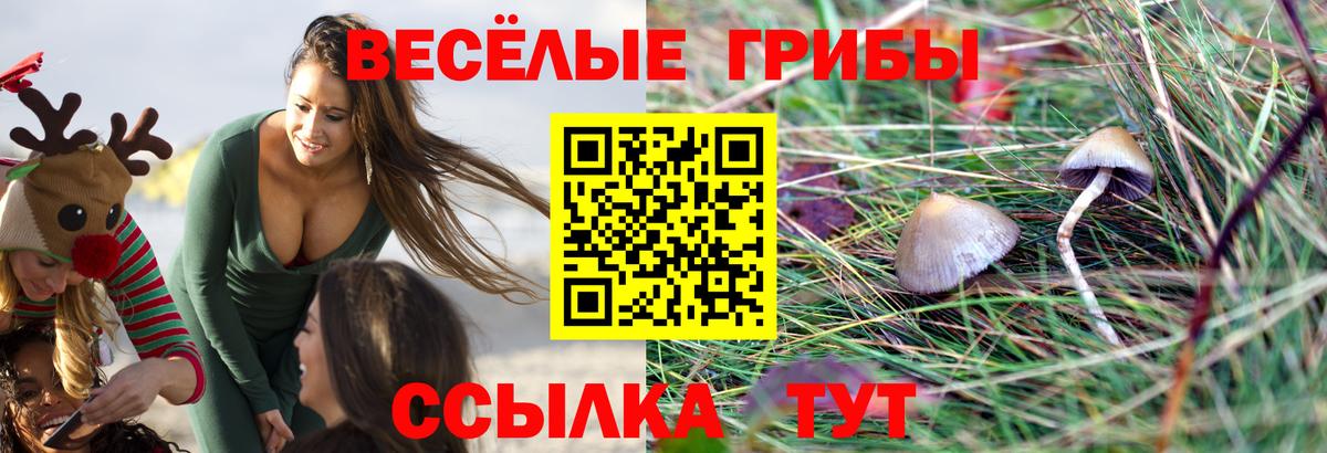 Галлюциногенные грибы ЛСД  Галлюциногенные грибы мухоморы  Вход с VPN  где продают   Бугуруслан 